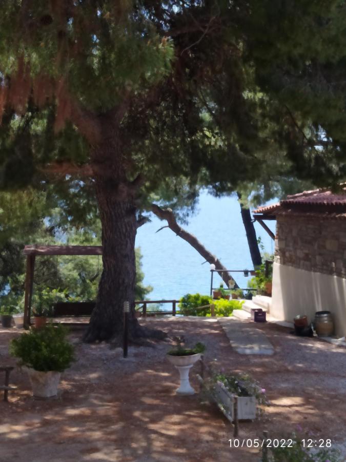 Pefkonas Apartments2 100 M From The Beach Psakoudia Exterior photo