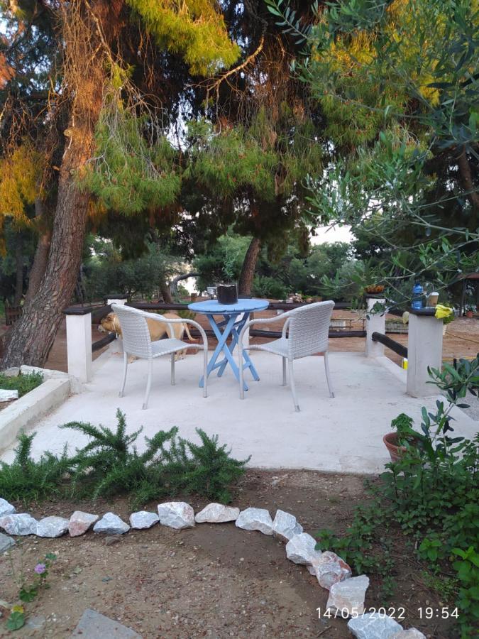 Pefkonas Apartments2 100 M From The Beach Psakoudia Exterior photo