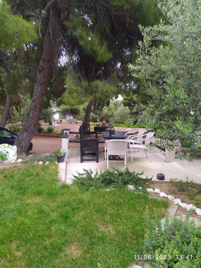 Pefkonas Apartments2 100 M From The Beach Psakoudia Exterior photo